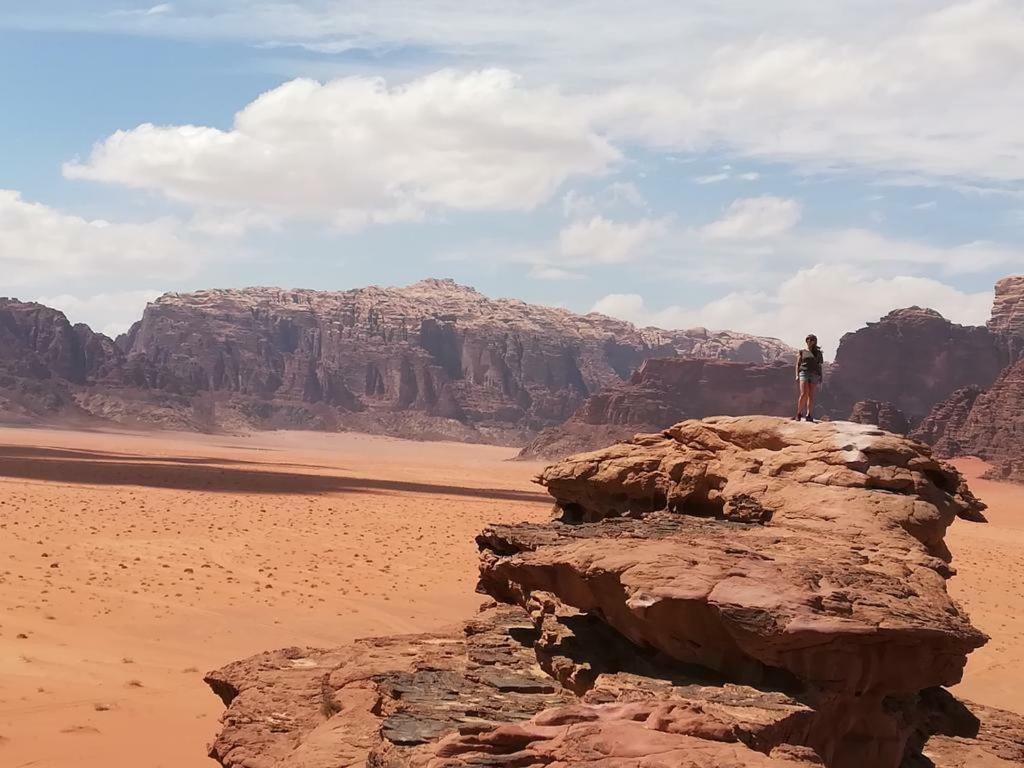 مبيت وإفطار وادي رم Moon City Camp المظهر الخارجي الصورة